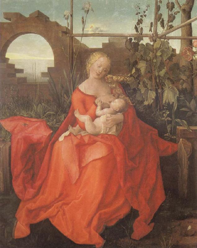 Albrecht Durer The Madonna with the Iris imitator of Albrecht Durer Germany oil painting art